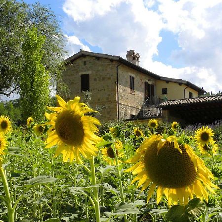 Appartamenti Verde Collina Umbra Bevagna Exterior foto