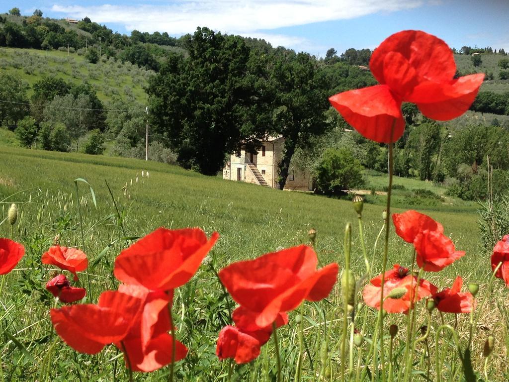 Appartamenti Verde Collina Umbra Bevagna Exterior foto
