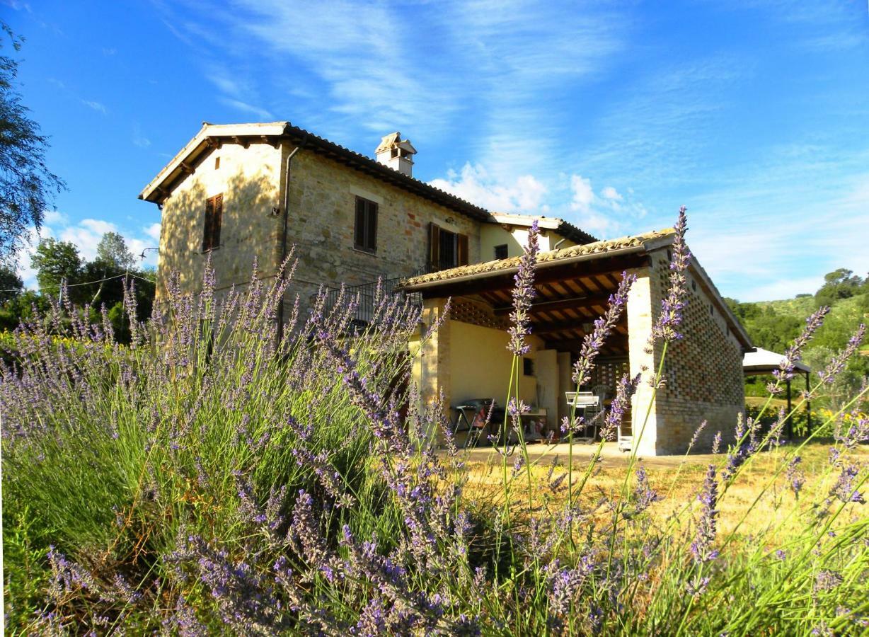 Appartamenti Verde Collina Umbra Bevagna Exterior foto