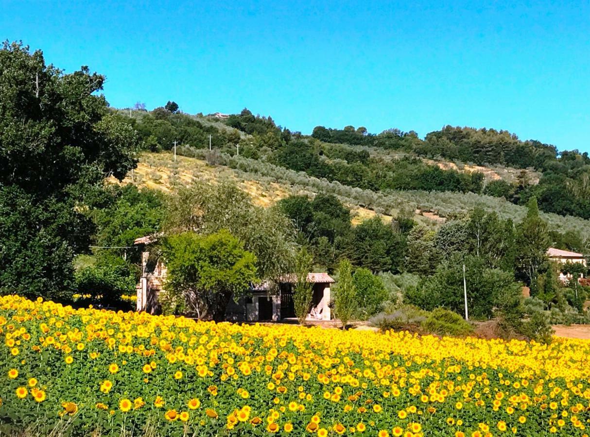 Appartamenti Verde Collina Umbra Bevagna Exterior foto